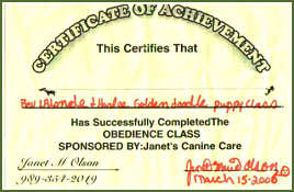 Puppy Obedience Certificate