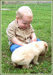 Visiting Day at Timshell Farm - Aiden and his doodle!