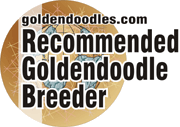 Goldendoodle.com Owner-Recommended Breeder