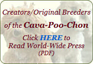 Click here for Cava-Poo-Chon Press!