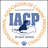 IACP Professional Member