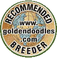 Recommended Breeder - www.goldendoodles.com