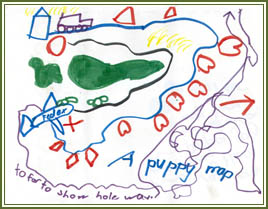 Shannon's Puppy Map
