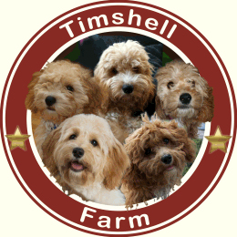 Timshell Farm Puppies