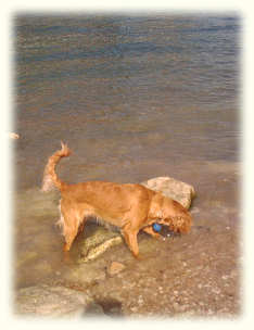 Mia at the Lake
