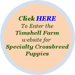 Timshell Farm for Specialty Crossbreed Puppies!